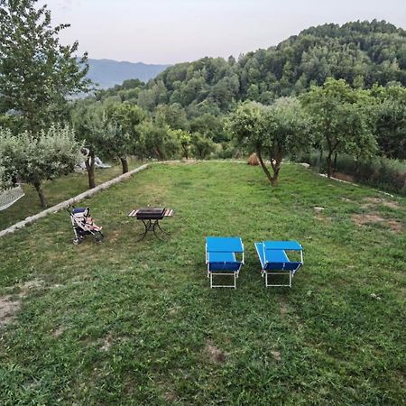 Vila Ella Villa Căpăţîneni-Ungureni Dış mekan fotoğraf