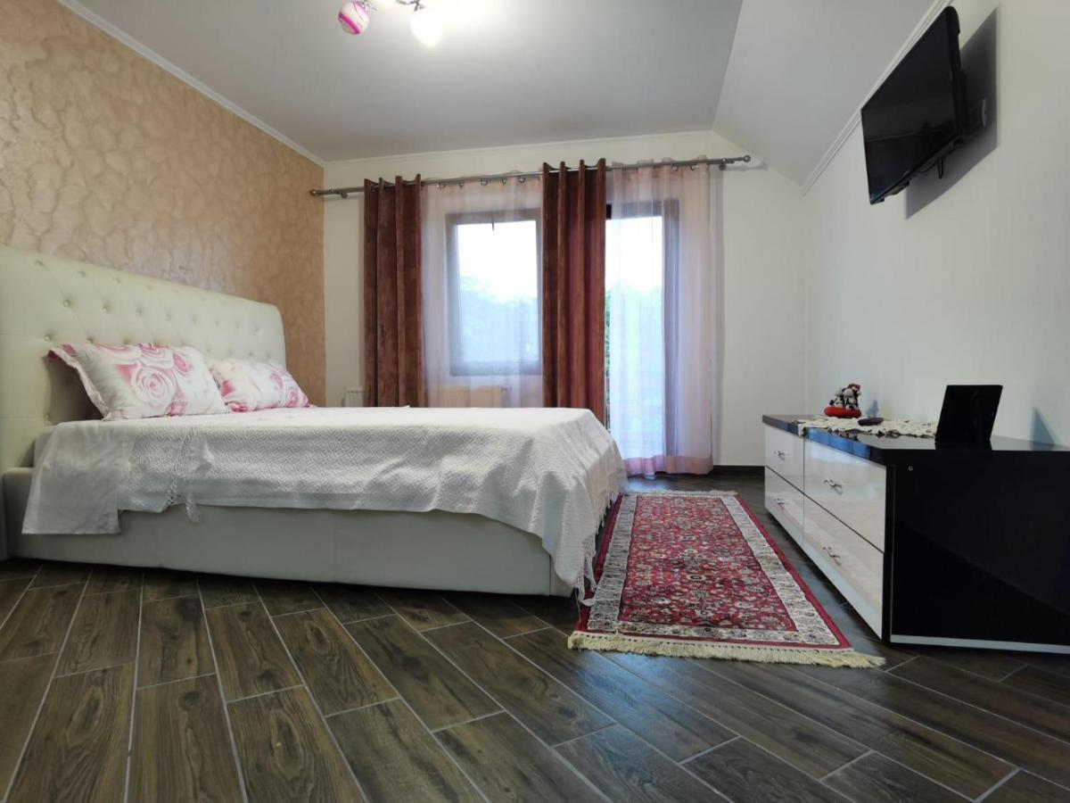 Vila Ella Villa Căpăţîneni-Ungureni Dış mekan fotoğraf