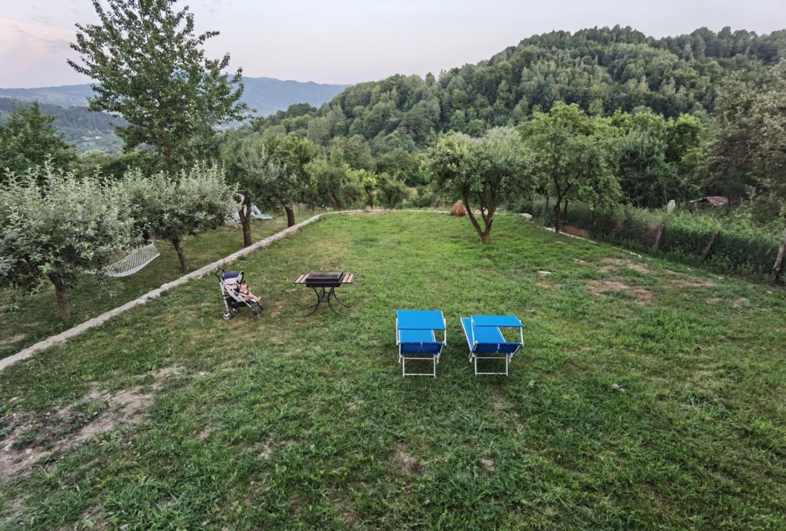 Vila Ella Villa Căpăţîneni-Ungureni Dış mekan fotoğraf