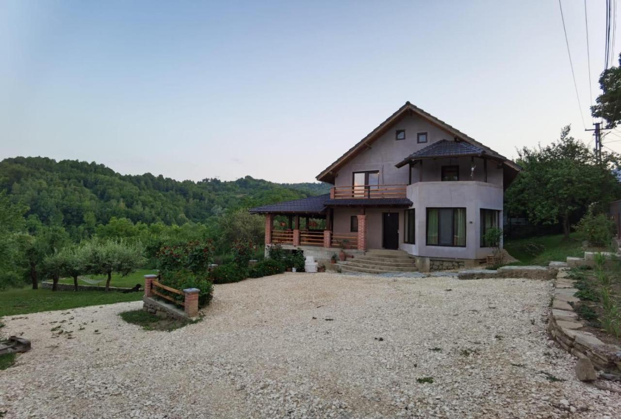 Vila Ella Villa Căpăţîneni-Ungureni Dış mekan fotoğraf