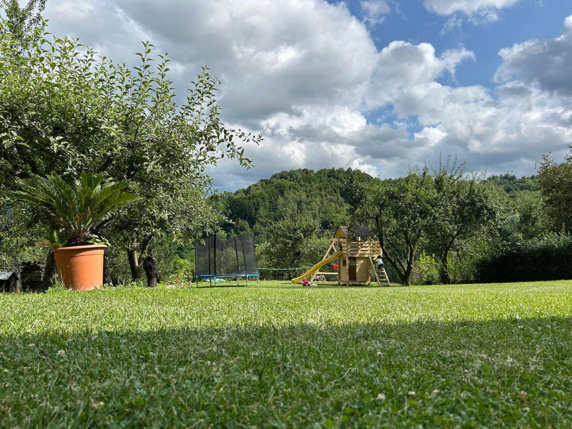Vila Ella Villa Căpăţîneni-Ungureni Dış mekan fotoğraf
