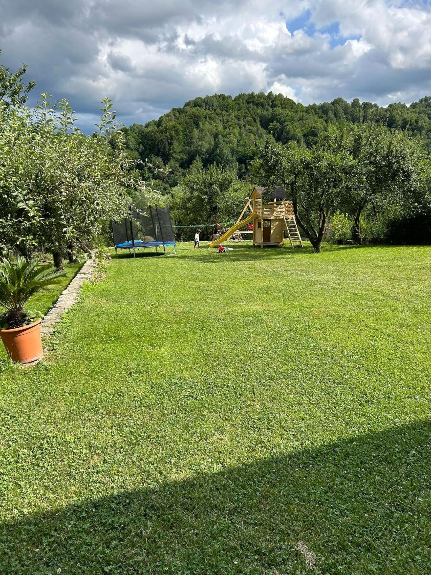 Vila Ella Villa Căpăţîneni-Ungureni Dış mekan fotoğraf